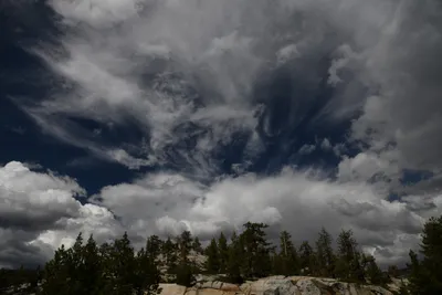 DSC_4373 (Large).JPG